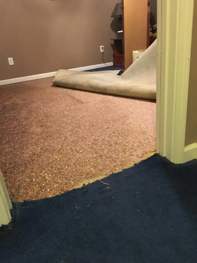 Carpet pad removal revealing water damage during Drying & Dehumidification in Alcoa