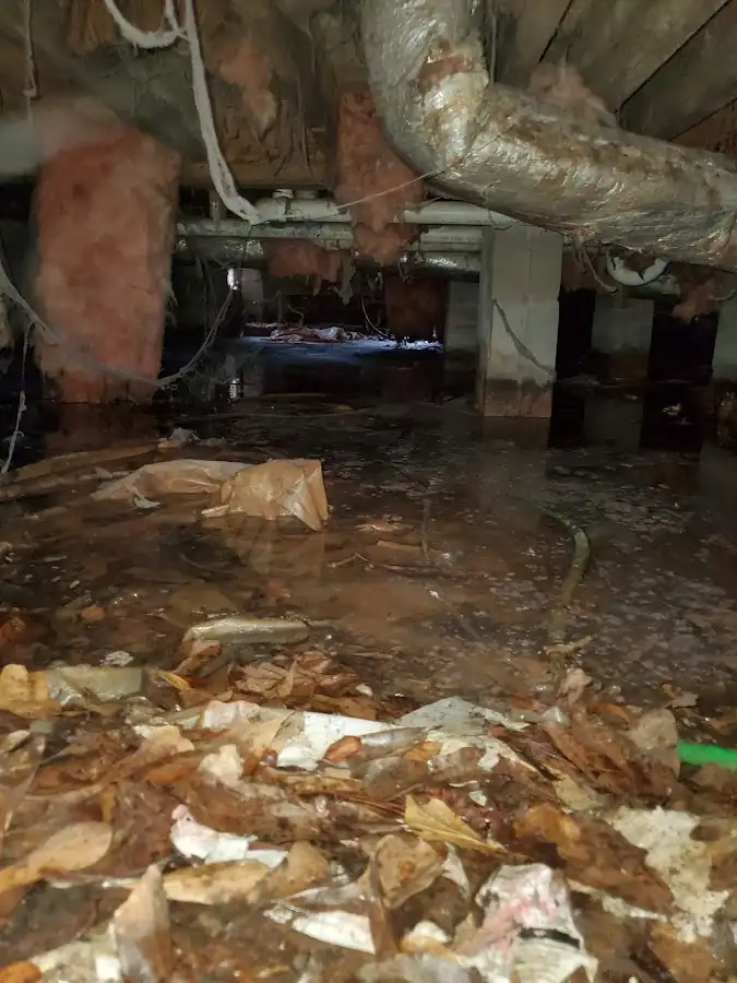 Crawl space flood assessment for Commercial Water Damage Restoration in Alcoa