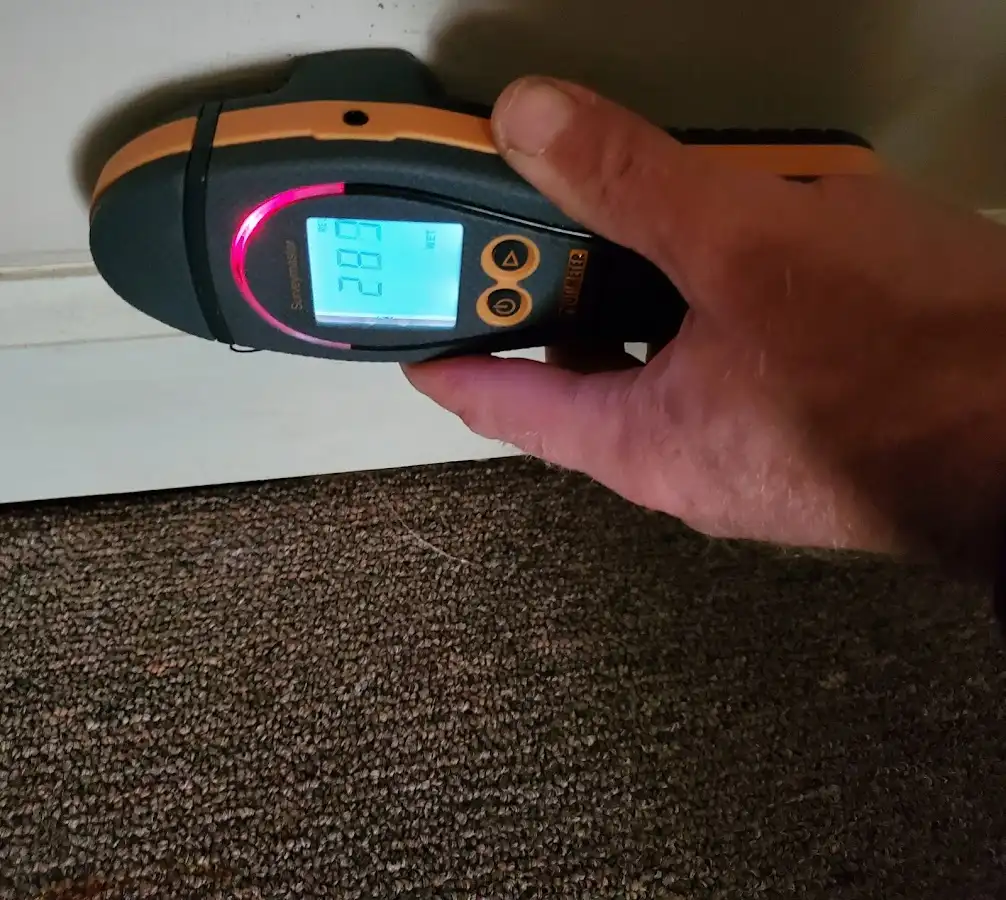 Moisture detection at baseboard during Sewage Cleanup & Sanitation in Alcoa